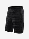 ALPINE PRO Hak 2 Short pants