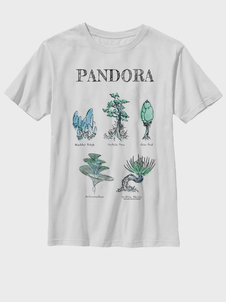 ZOOT.Fan Twentieth Century Fox Pandora Flora Sketches Kids T-shirt