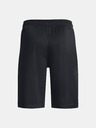 Under Armour UA Prototype 2.0 Logo Kids Shorts