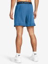 Under Armour UA Vanish Woven 6in Short pants