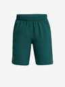 Under Armour UA Woven Wdmk Kids Shorts