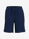 Jack & Jones Karl Short pants