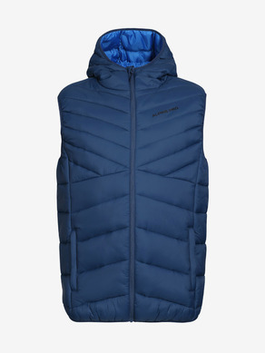 ALPINE PRO Huran Vest