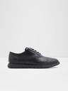 Aldo Waylen Oxford