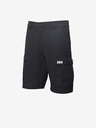 Helly Hansen HH Quick-Dry Cargo Short pants