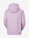 Helly Hansen HH Logo Hoodie 2.0 Sweatshirt