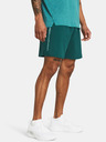 Under Armour UA Woven Wdmk Short pants