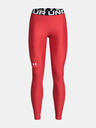 Under Armour UA HG Authentics Leggings