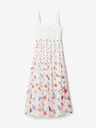 Desigual Vancouver Dresses