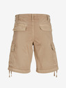 Jack & Jones Cole Short pants