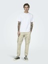 ONLY & SONS Cam Stage Trousers