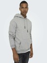 ONLY & SONS Ceres Sweatshirt