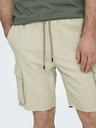 ONLY & SONS Sinus Short pants