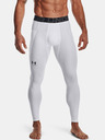 Under Armour HG Armour Leggings