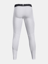 Under Armour HG Armour Leggings