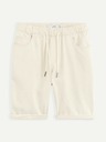 Celio Bojogdenbm Short pants