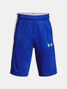 Under Armour UA Baseline Mfo Kids Shorts