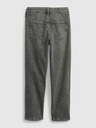 GAP Girlfriend Washwell Kids Jeans