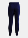 Under Armour Rival Fleece Crest Sweatpants