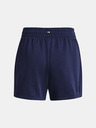 Under Armour Project Rock Everyday Shorts