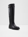 Aldo Loreina Tall boots