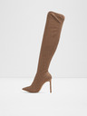 Aldo Nassia Tall boots