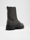 Aldo Nane Ankle boots