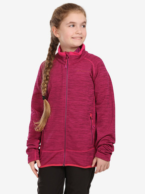 ALPINE PRO Onneco Kids Sweatshirt