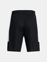 Under Armour UA Baseline Kids Shorts