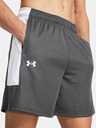 Under Armour UA Baseline Short pants