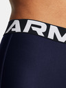 Under Armour UA HG Leggings