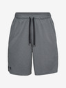 Under Armour Tech Mesh Short pants