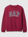 GAP Sudadera