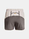 Under Armour Terrain Shorts