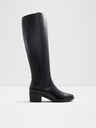 Aldo Tanerdy Tall boots