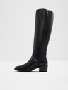 Aldo Tanerdy Tall boots