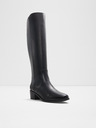 Aldo Tanerdy Tall boots