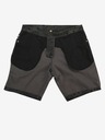 ALPINE PRO Bluebell 3 Short pants