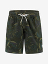 O'Neill Kamakou Short pants