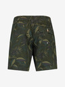 O'Neill Kamakou Short pants