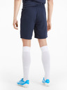 Puma Team Goal Short pants