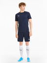 Puma Team Goal Short pants