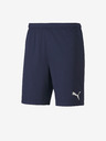 Puma Team Goal Short pants