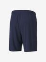 Puma Team Goal Short pants