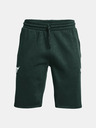 Under Armour Project Rock Charged Cotton® Short pants