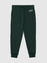 GAP Joggers