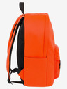 BAAGL  NASA Backpack