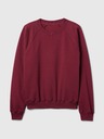 GAP Vintage Soft Sweatshirt