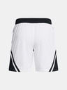 Under Armour Curry Mesh Short 4 Short pants