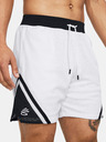 Under Armour Curry Mesh Short 4 Short pants